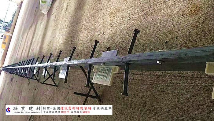 中山市铠甲缝施工案例