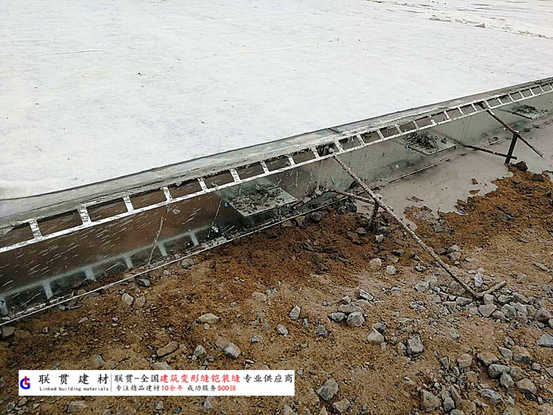 中山市铠装缝案例